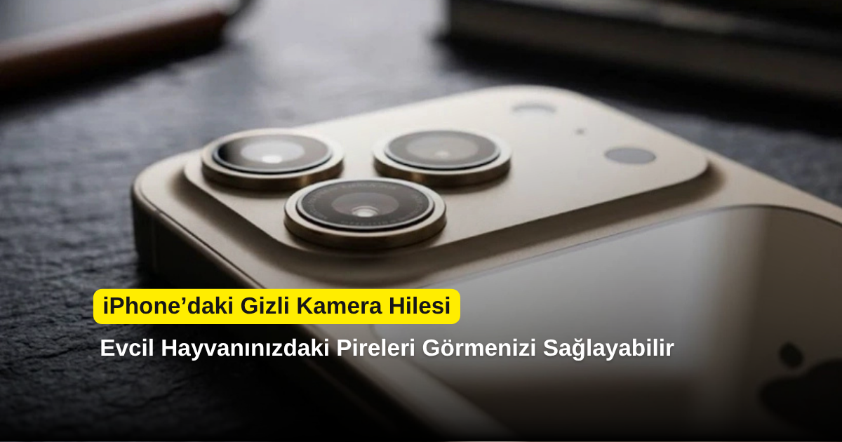 iPhone’daki Gizli Kamera Hilesi: Evcil Hayvanınızdaki Pireleri Görmenizi Sağlayabilir